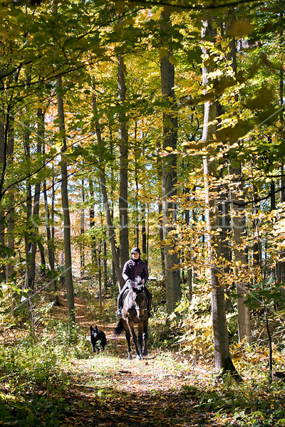 Woman horseback riding through a hardwood forest in the autumn time