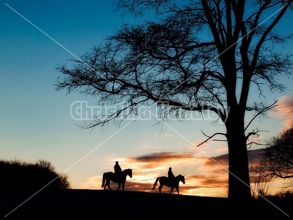 Silhouette Riders