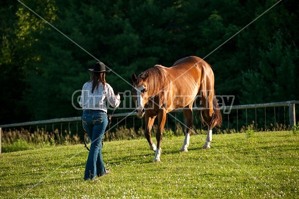 Young woman catching her Paint mare out of the paddock