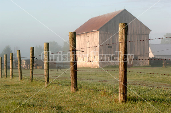 Barbed wire fence on cedar posts