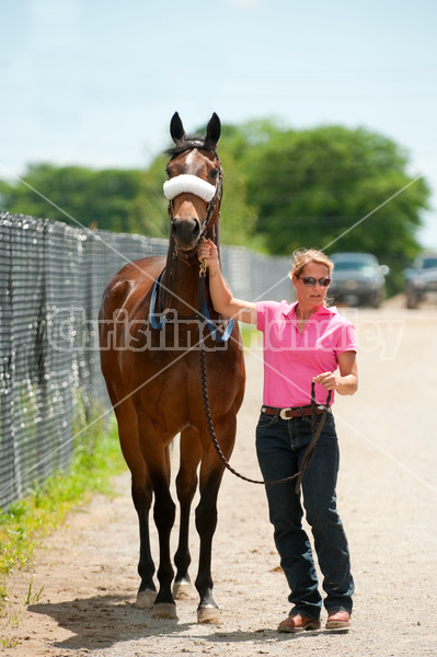 Quarter Horse Racing at Ajax Downs