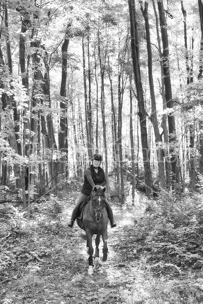 Woman horseback ridging through forest