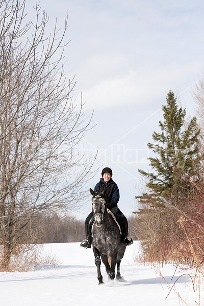 Woman riding Hanoverian mare in deep snow