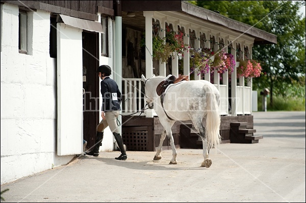 Hunter Jumper Show at Blue Star Farm