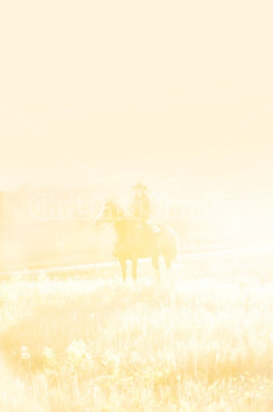 Young woman riding an American Paint Horse mare in the golden glow of the late evening light