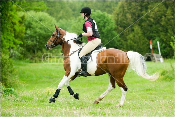 Killusty Horse Trials Fenelon Falls Ontario Canada