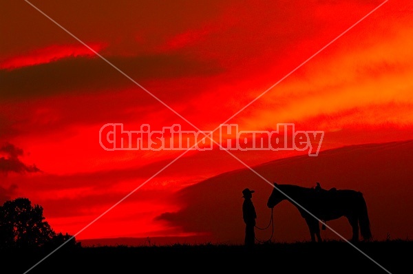 Silhouette of a cowgirl against a colorful sky