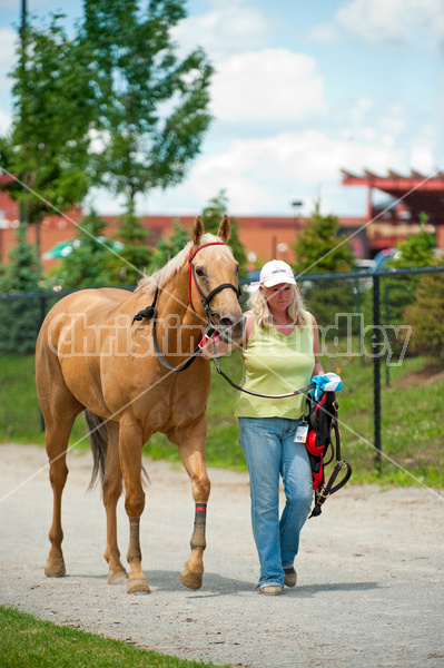 Quarter Horse Racing at Ajax Downs