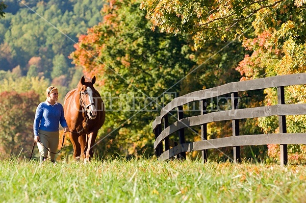 Young woman leading chestnut horse