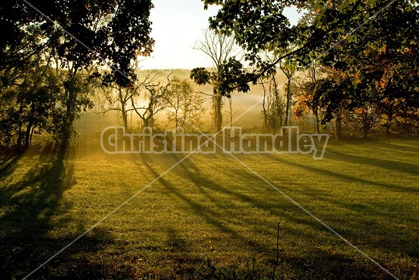 Autumn farm scene