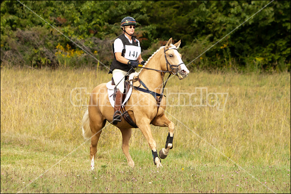 Lanes End Horse Trials