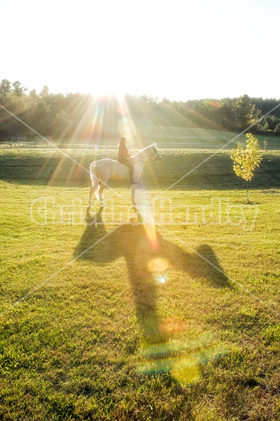 Woman riding a palomino horse