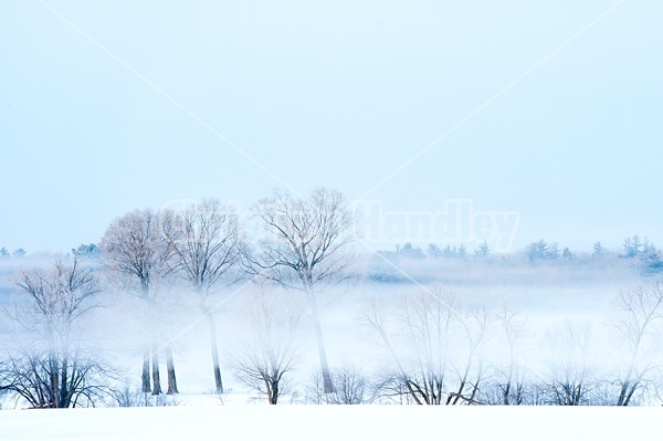 Farm field scene on a cold frosty winter morning
