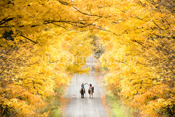 Two young women horseback riding through autumn colored scenery