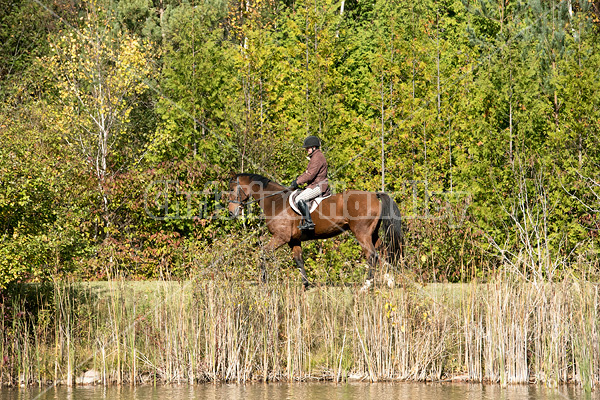 Woman horseback riding around pond in the autumn colors