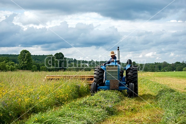 Farmer cutting hay with tractor and mower conditioner