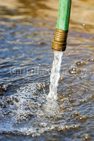 Water streaming out of garden hose into water trough.