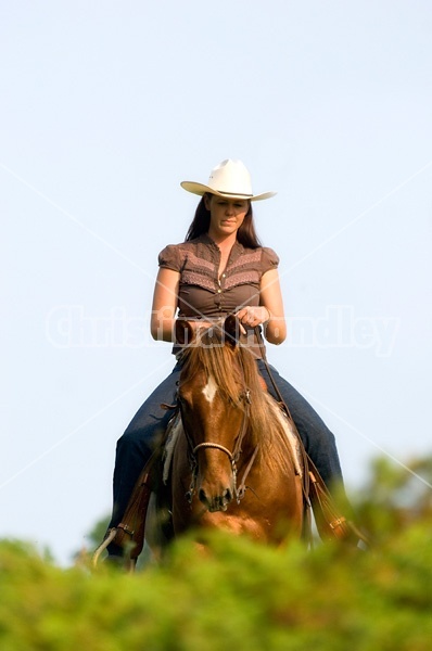 Young woman riding chestnut horse