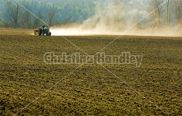 Farmer driving tractor pulling seed drill seeding oats