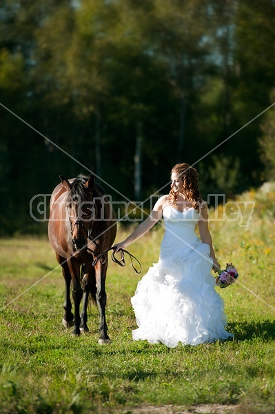 Woman in wedding dress with horse.