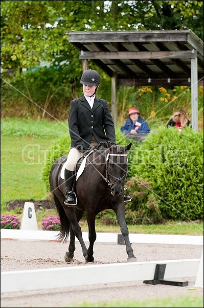 Lanes End Horse Trials