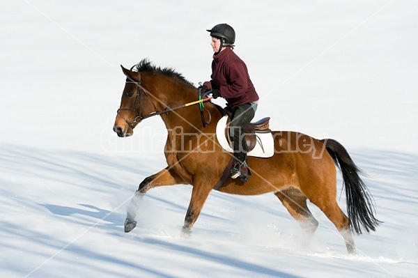 Woman riding bay horse through the deep snow