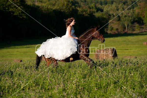 Woman riding horse wearing a wedding dress