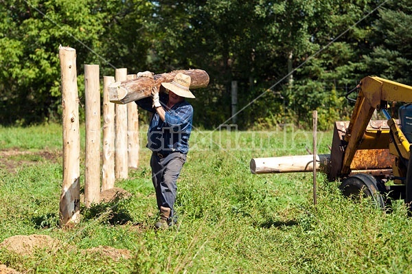 Farmer building new fence