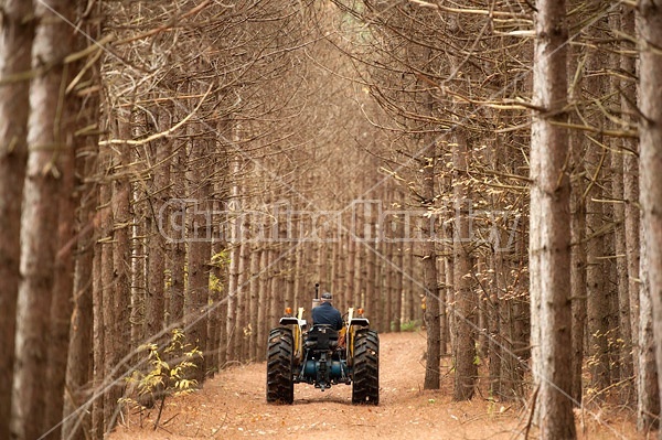 Farmer driving tractor down wooded trail