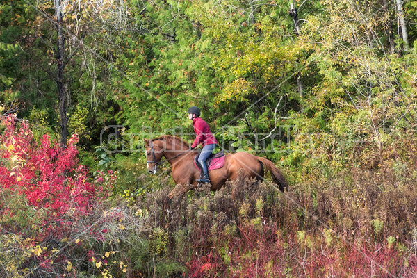 Woman horseback riding around pond in the autumn colors