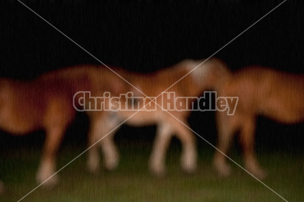 Photo of out of focus horses with texture overlay