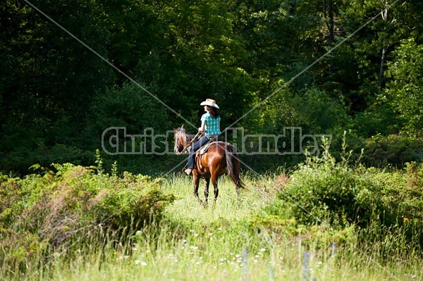 Woman trail riding on Standardbred mare