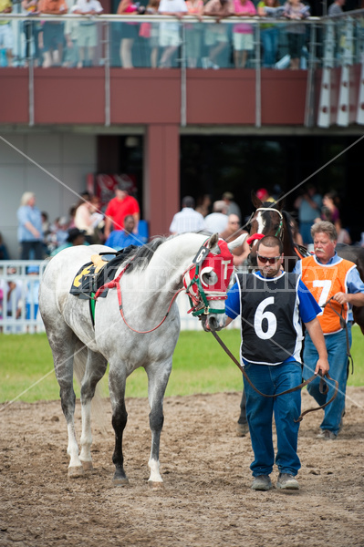 Quarter Horse Racing at Ajax Downs