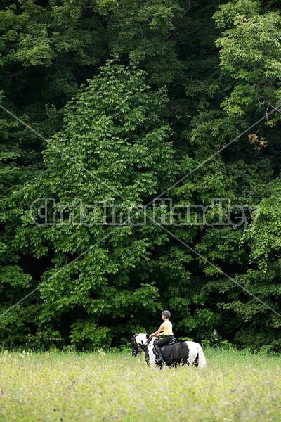 One woman riding a Gypsy Vanner horse.