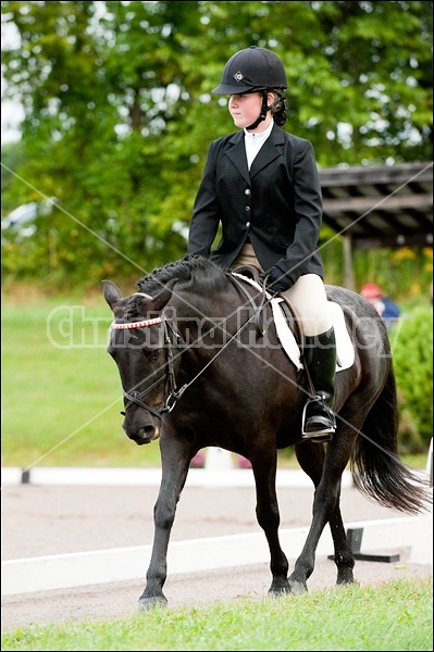 Lanes End Horse Trials