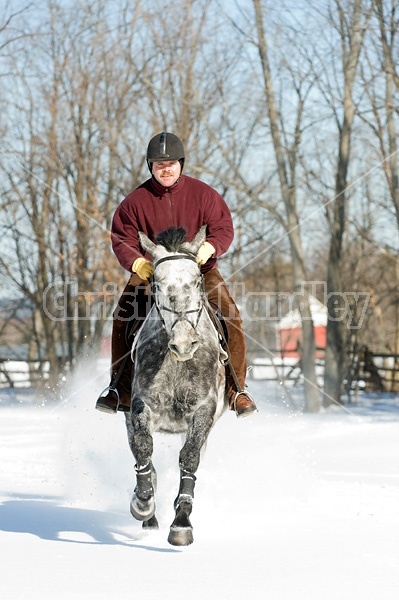 Man riding grey horse galloping through deep snow