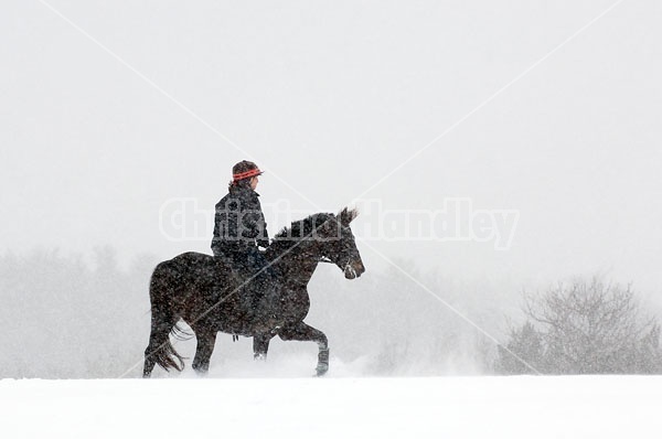 Woman horseback riding in the winter