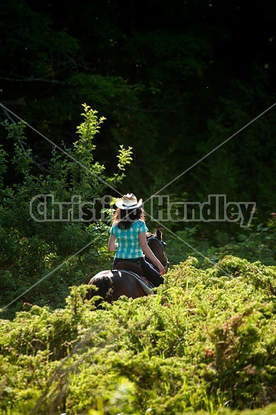 Woman trail riding on Standardbred mare