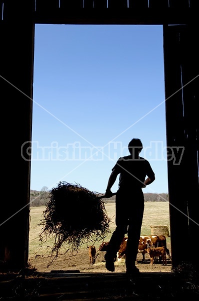 Farm woman silhouetted in barn doorway