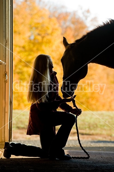 Silhouette of woman and horse in barn door
