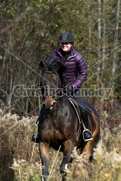 Woman riding Thoroughbred horse