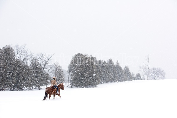 Young woman riding horse in snowstorm in Ontario Canada