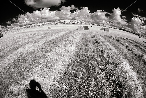 Infrared photo of hay field