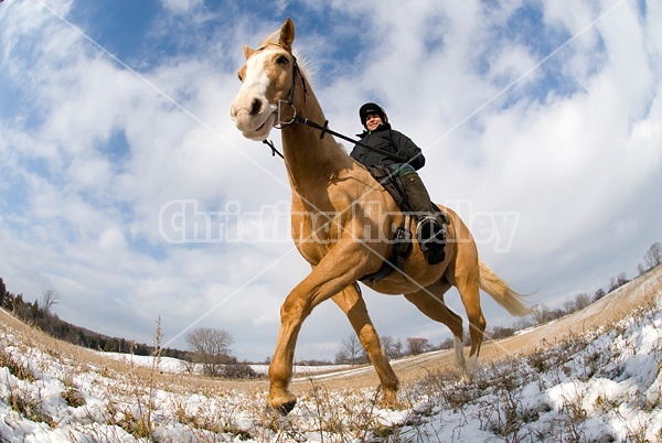 Woman horseback riding in the winter