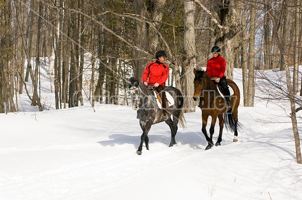 Horseback Riding in the Winter in Ontario Canada