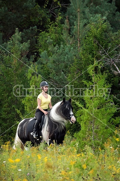 One woman riding a Gypsy Vanner horse.