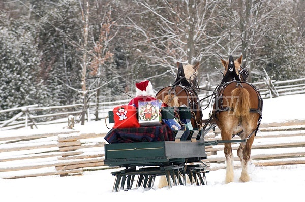 Santa Claus driving sleigh