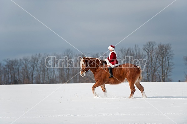 Mrs. Claus riding a Belgian draft horse bareback