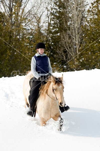 Horseback riding in the snow in Ontario Canada