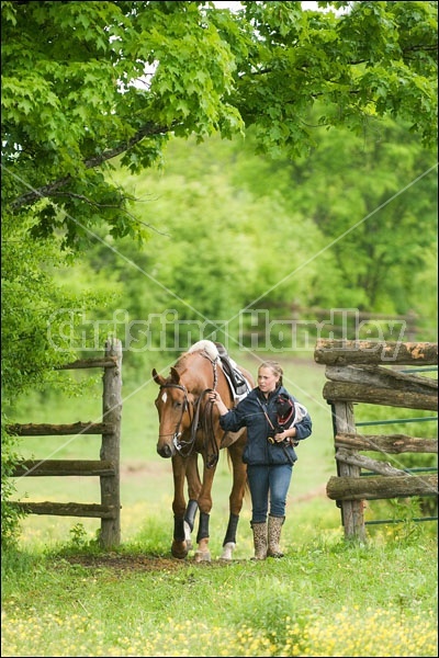 Horse Trials